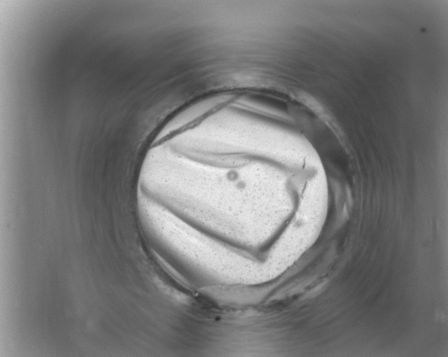 X0000066950481200604142053