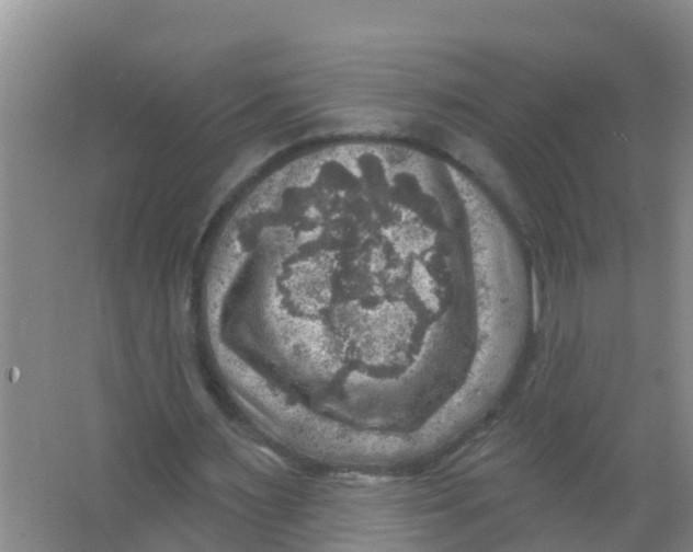 X0000066950483200604142053