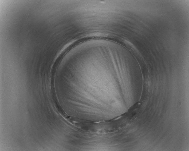 X0000066950484200604142053