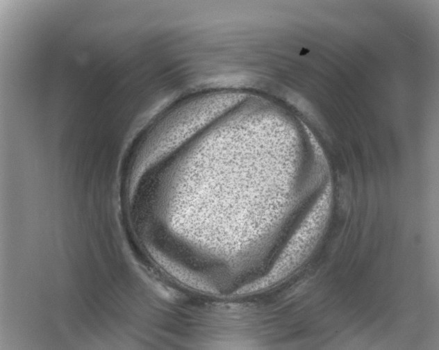 X0000066950486200604142053