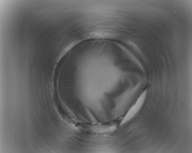 X0000066950488200604142053