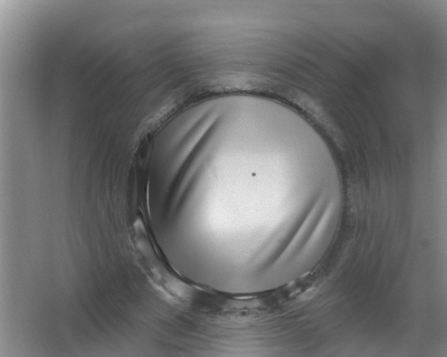 X0000066950489200604142053