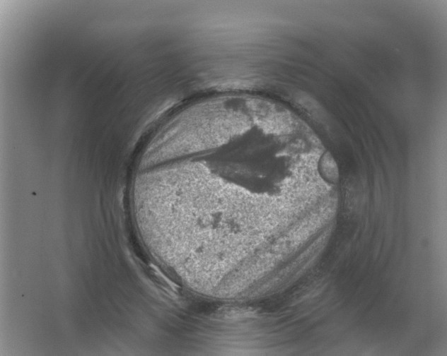 X0000066950491200604142053