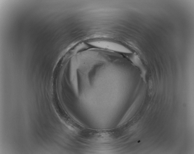 X0000066950492200604142053