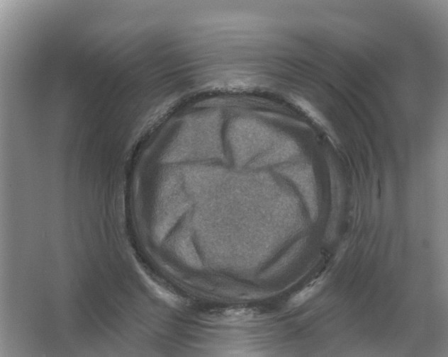 X0000066950493200604142053