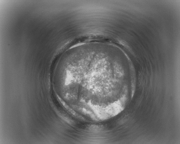 X0000066950494200604142053