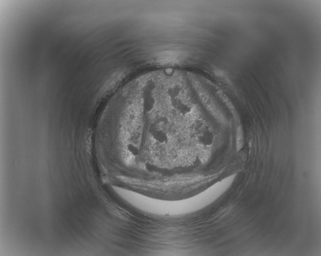 X0000066950495200604142053