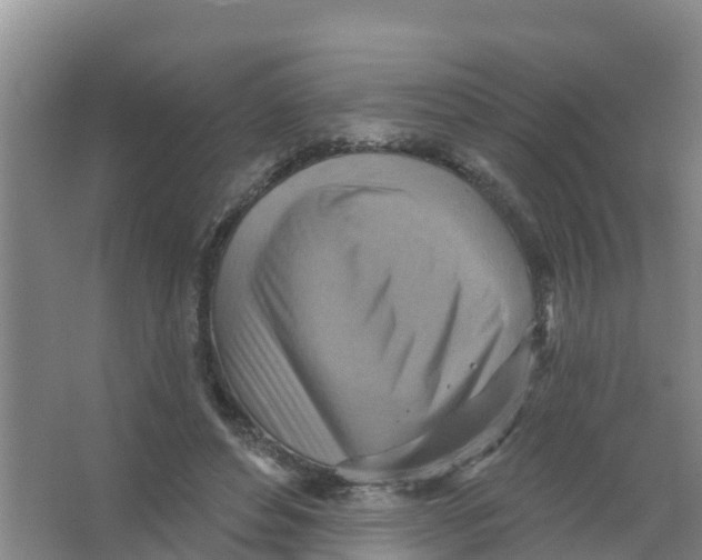 X0000066950496200604142053