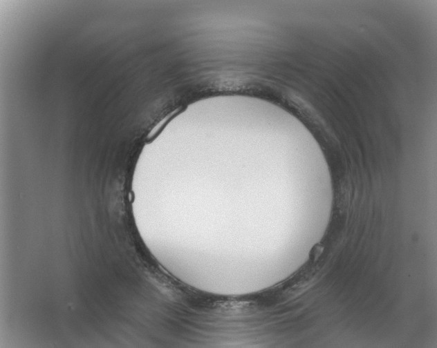 X0000066950497200604142053