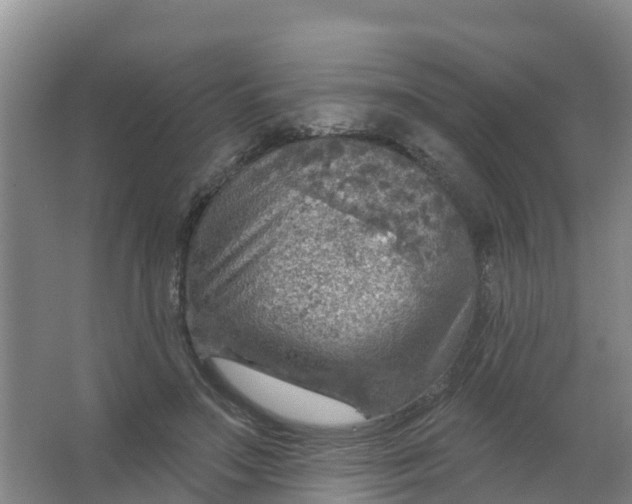 X0000066950499200604142053