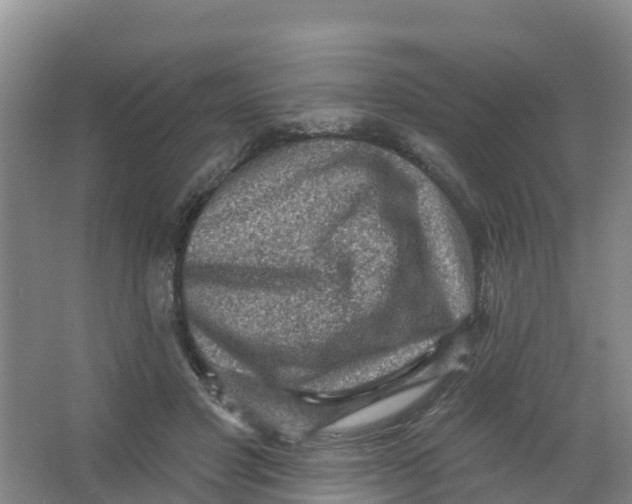 X0000066950501200604142053