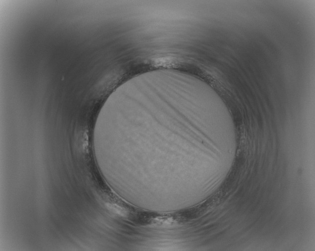 X0000066950502200604142053