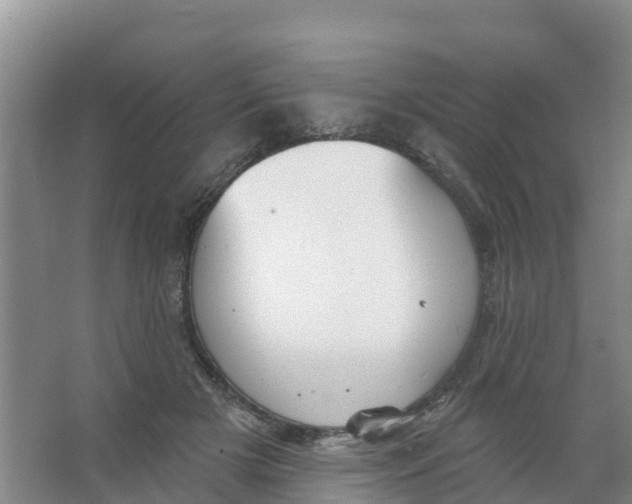 X0000066950505200604142053