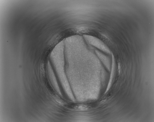 X0000066950506200604142053