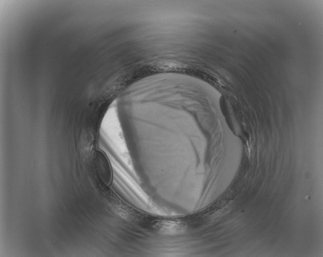 X0000066950507200604142053