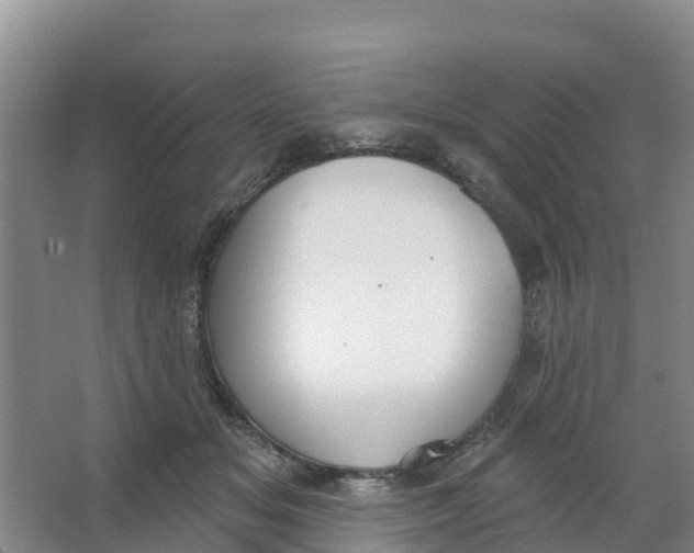 X0000066950509200604142053