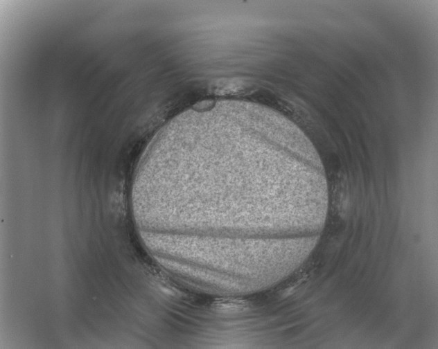 X0000066950510200604142053