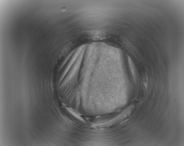 X0000066950512200604142053