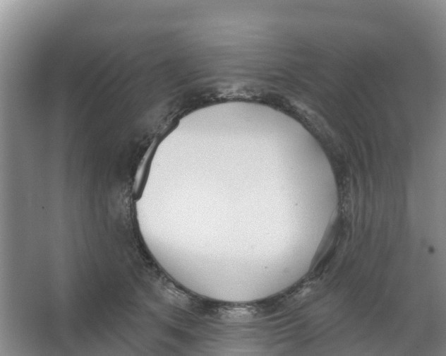 X0000066950513200604142053