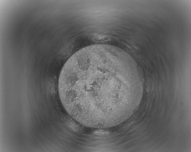 X0000066950515200604142053