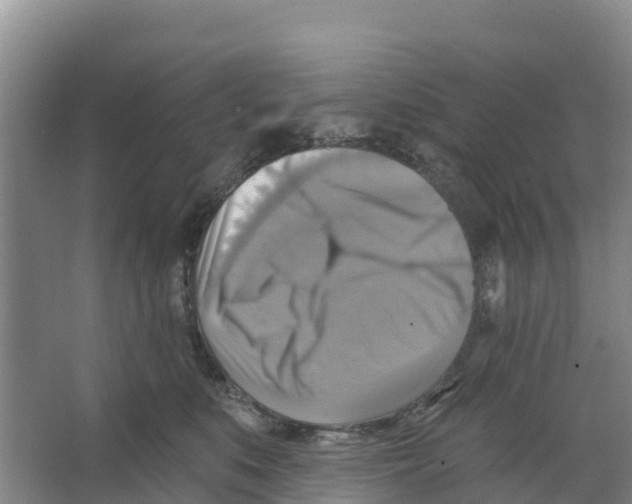 X0000066950519200604142053