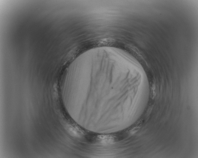 X0000066950520200604142052