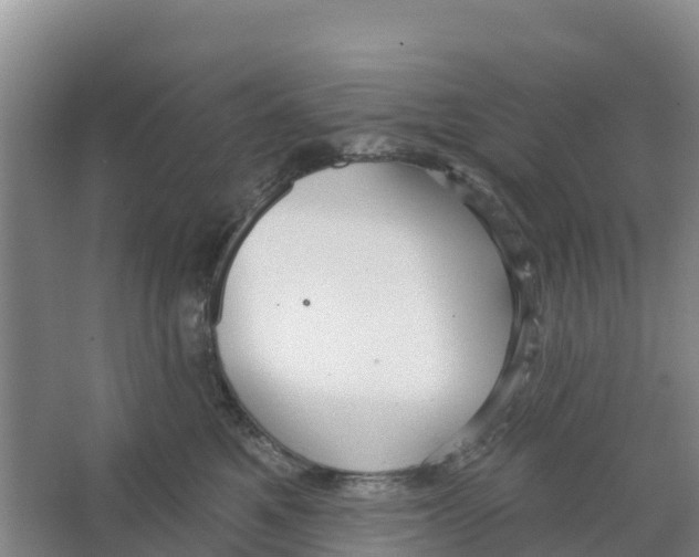 X0000066950521200604142052