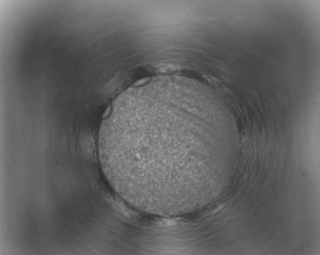 X0000066950523200604142052