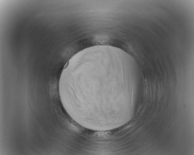 X0000066950526200604142052