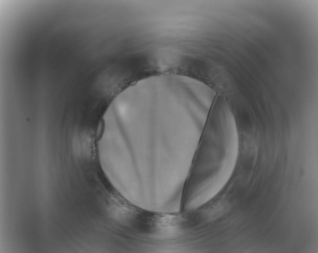 X0000066950527200604142052