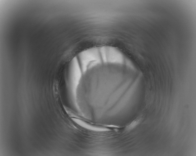 X0000066950528200604142052