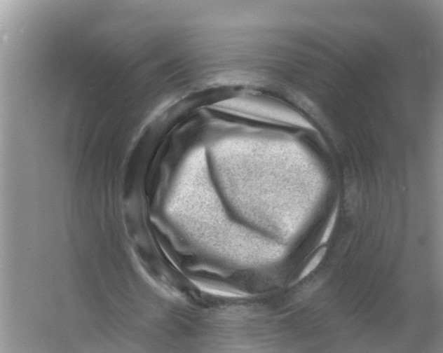 X0000066950530200604142052