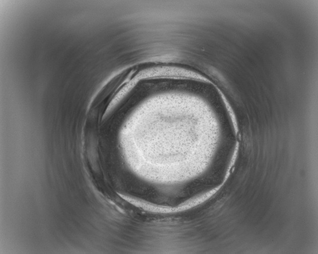 X0000066950532200604142052