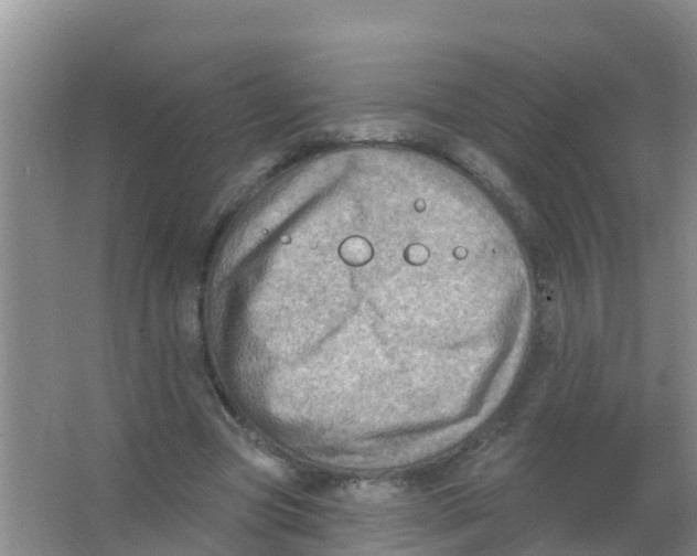 X0000066950537200604142052