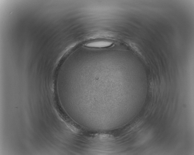 X0000066950539200604142052