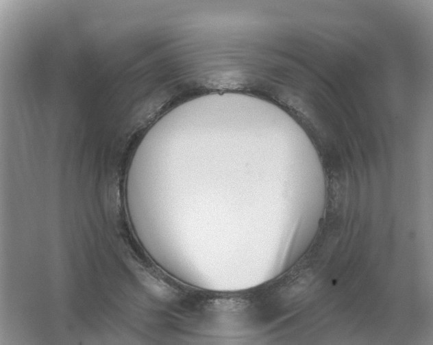 X0000066950541200604142052