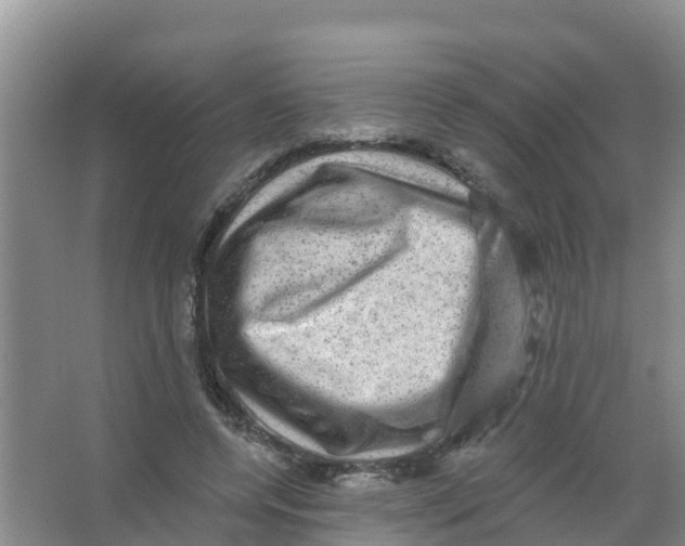 X0000066950544200604142052