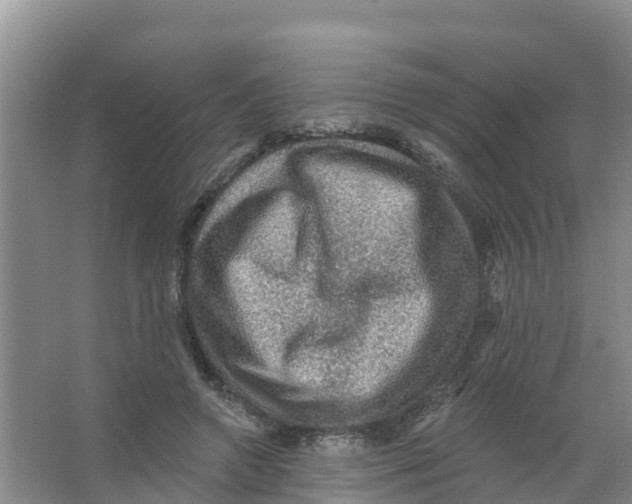 X0000066950546200604142052