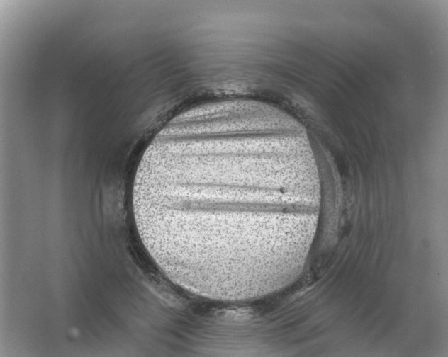 X0000066950548200604142052