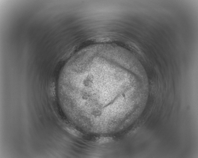 X0000066950549200604142052