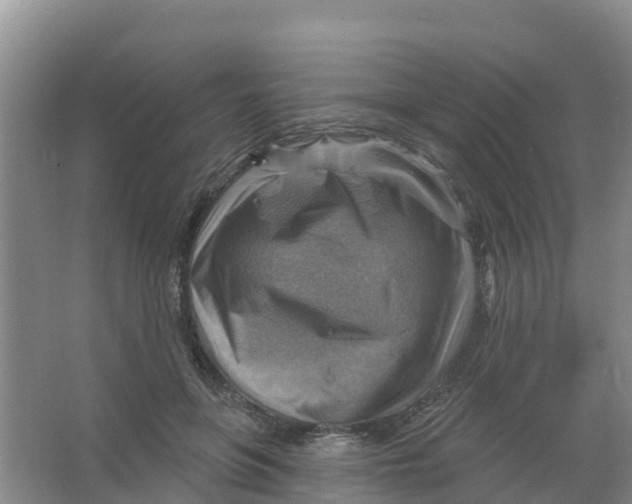 X0000066950551200604142052