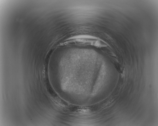 X0000066950552200604142052