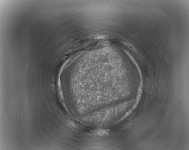 X0000066950553200604142052