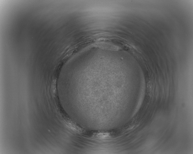 X0000066950554200604142052