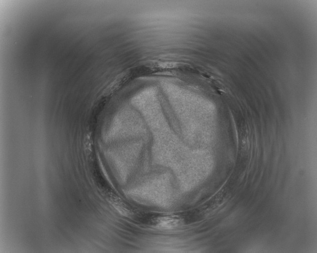 X0000066950555200604142052