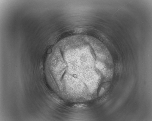 X0000066950557200604142052