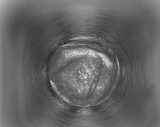 X0000066950559200604142052