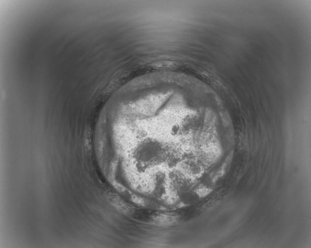 X0000066950561200604142052