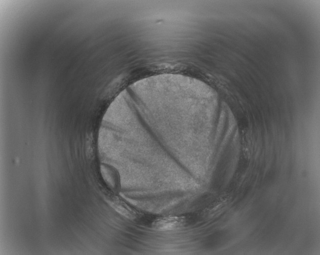 X0000066950563200604142052