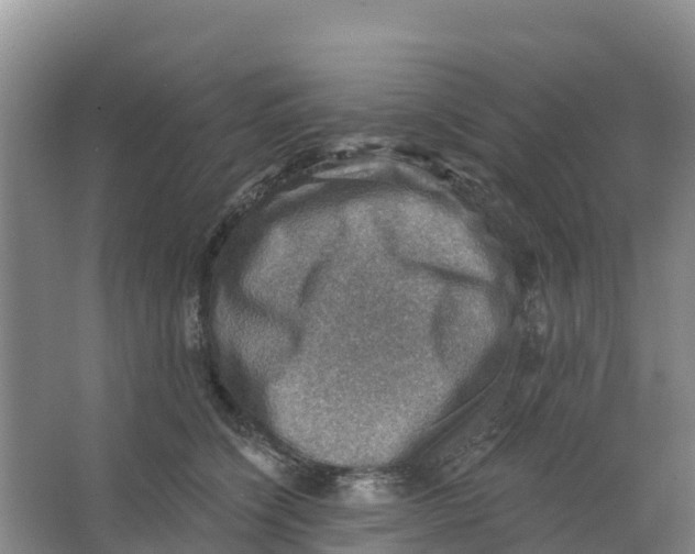 X0000066950564200604142052